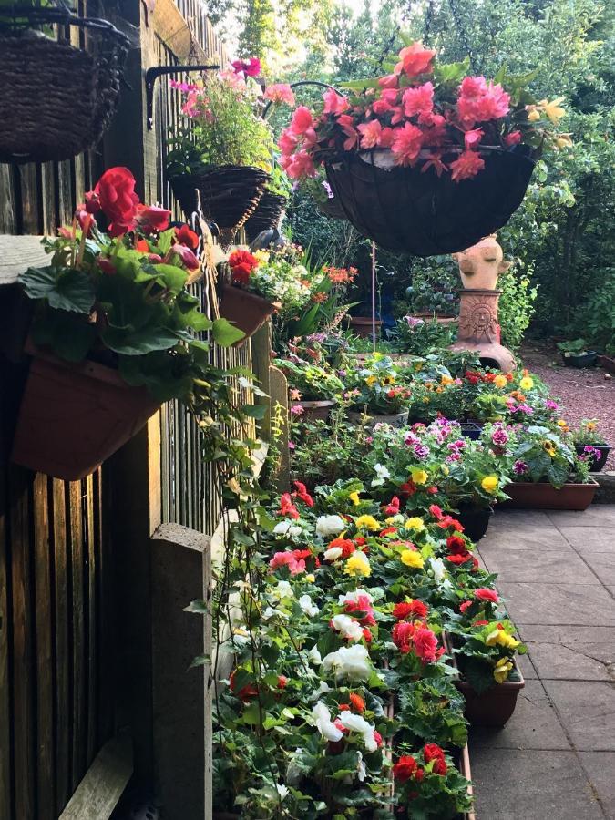 38 Whitehall Road Harrow on the Hill Luaran gambar